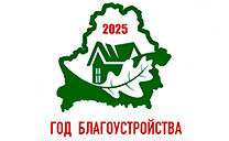 Год благоустройства
