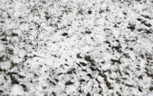 Почему же почернел снег на одной из улиц в г. Копыль