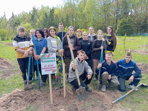 Грушевый сад, посвященный 80-летию освобождения Беларуси