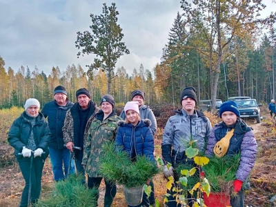 В аг. Жилихово избавятся от пустующих домов