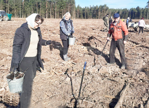 Копыльский опытный лесхоз приглашает внести свой вклад в благоустройство лесного фонда