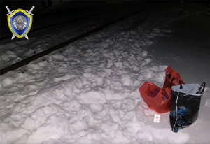 В Копыльском районе поезд насмерть сбил пожилого мужчину